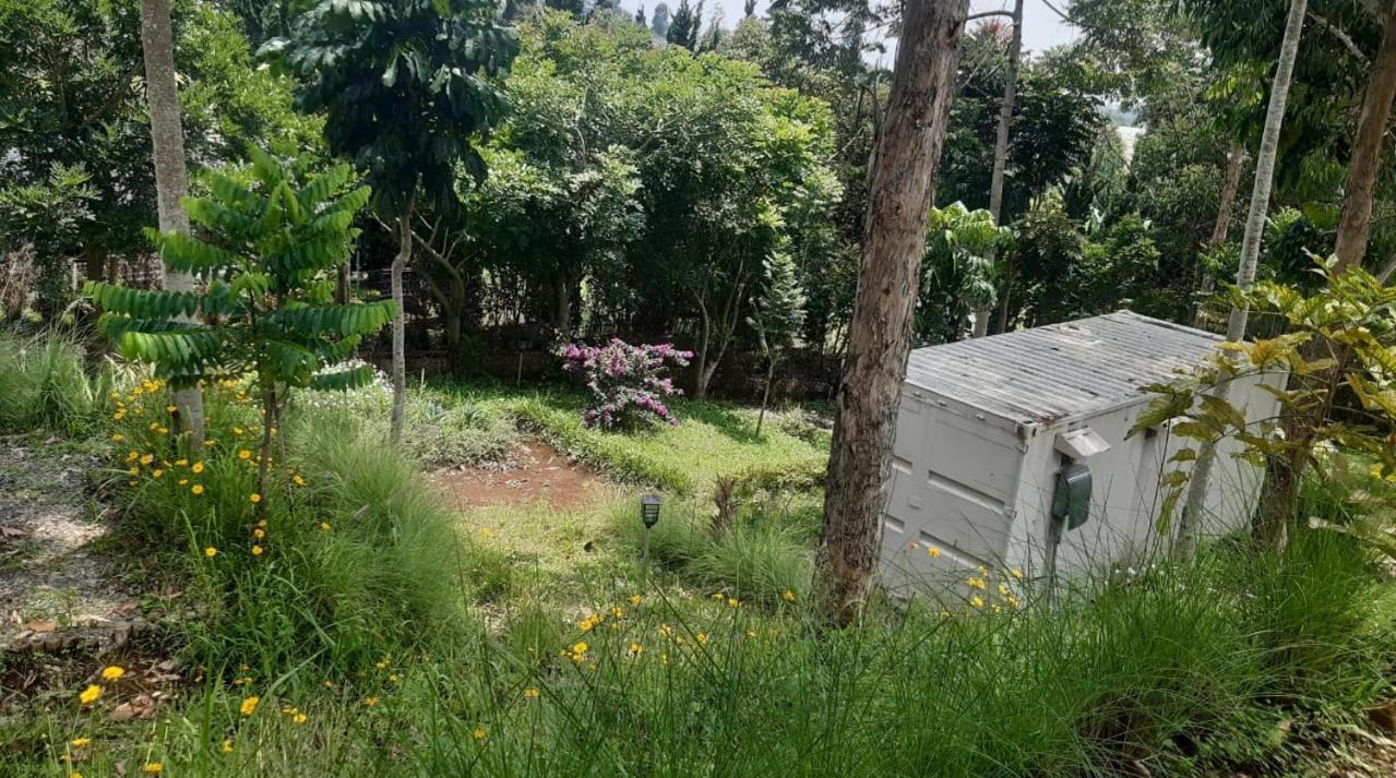 Tegalharendong Hotel Bukit Pinus מראה חיצוני תמונה