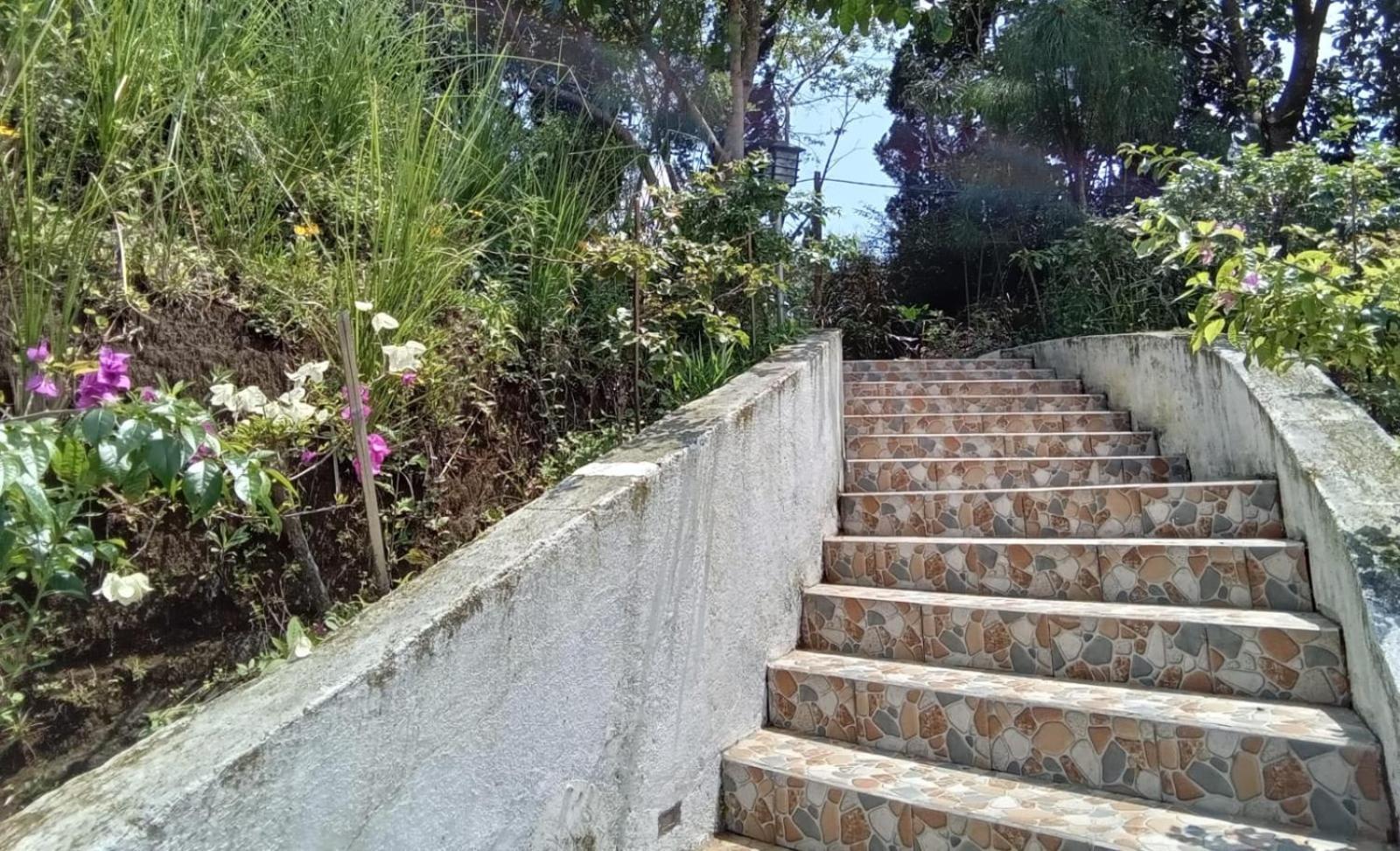 Tegalharendong Hotel Bukit Pinus מראה חיצוני תמונה