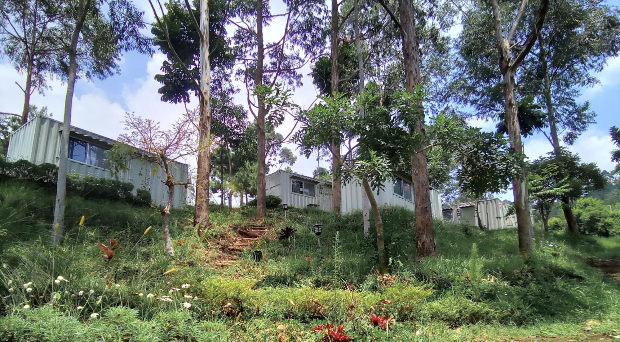 Tegalharendong Hotel Bukit Pinus מראה חיצוני תמונה